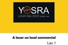 Local commercial 48m² au berge du lac 1